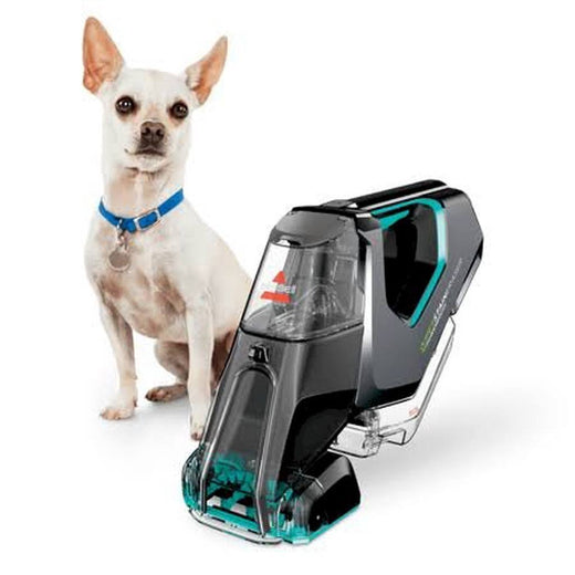 Pet
